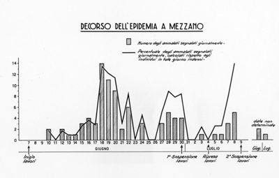 Grafico raffigurante l'epidemia di leptospirosi delle risaie