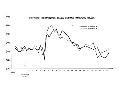 Leptospira Oryzeti