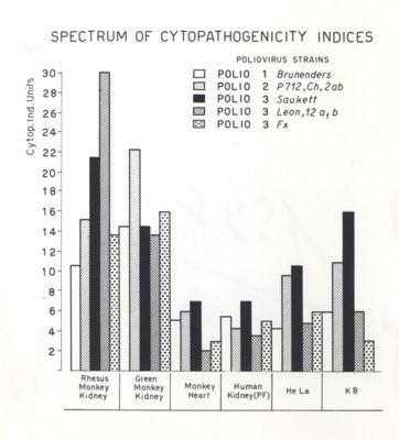 Indici di citopatogenicità di virus in colture di tessuti