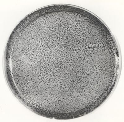 Placche da virus in piastra di Petri