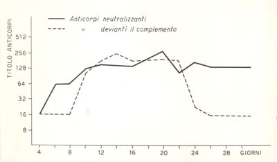 Malattia minore - Andamento degli anticorpi neutralizzanti e derivanti il complemento