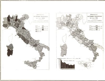 Cartogrammi riguardanti la mortalità per febbre puerperale negli anni 1888 e 1908