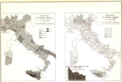 Diagramma riguardante il numero degli infermi curati nelle sale celtiche del Regno negli anni 1895 e 1908 ecc.