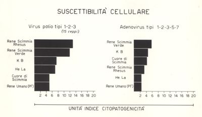 Suscettibilità cellulare