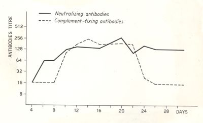 Epidemia da virus Coxsackie B. 4 a Gorizia