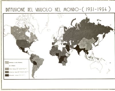 Planisferio riguardante la diffusione del vaiolo nel Mondo (1931-1934)