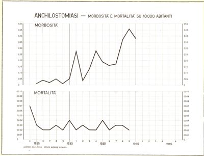 Diagramma riguardante la morbosità e la mortalità per anchilostomiasi