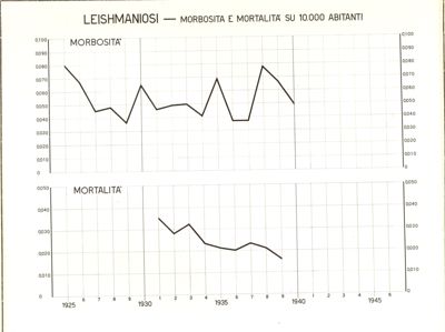 Diagramma riguardante la morbosità e la mortalità per leishmaniosi