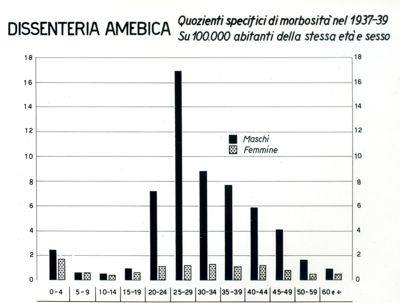 Diagramma riguardante i quozienti specifici di morbosità per dissenteria amebica