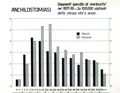 Diagramma riguardante i quozienti specifici di morbosità per anchilostomiasi
