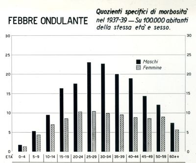 Diagramma riguardante i quozienti specifici di morbosità per febbre ondulante