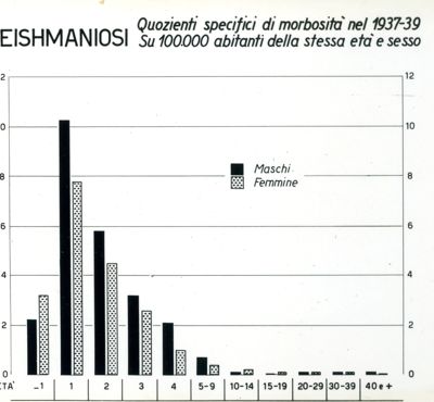 Diagramma riguardante i quozienti specifici di morbosità per Leishmaniosi