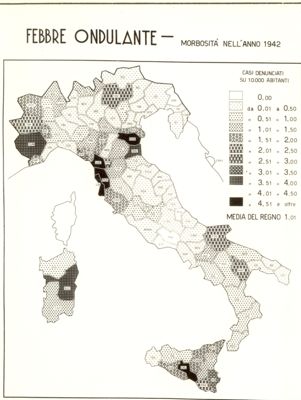 Cartogramma riguardante la morbosità per febbre ondulante nell'anno 1942