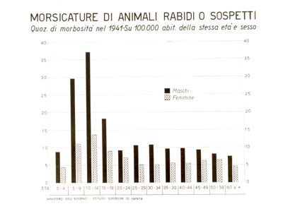 Diagramma riguardante i quozienti specifici di morbosità per morsicature di animali rabidi o sospetti