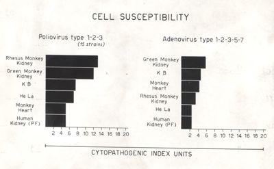 Diagramma riguardante il Cytopathogenic index