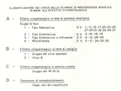 Classificazione dei virus delle scimmie di provenienza asiatica in base all'effetto citopatologico