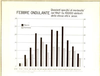 Diagramma riguardante i quozienti specifici di morbosità  nel 1942 per febbre ondulante
