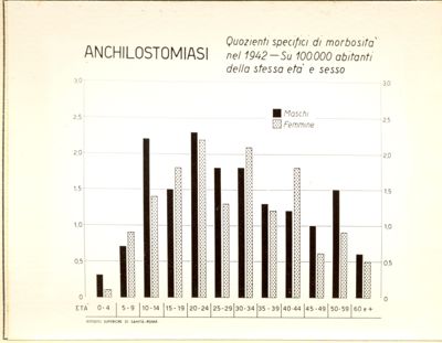 Diagramma riguardante i quozienti specifici di morbosità  nel 1942  per Anchilostomiasi