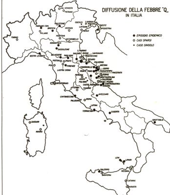 Cartogramma riguardante la diffusione della febbre Q. in Italia.