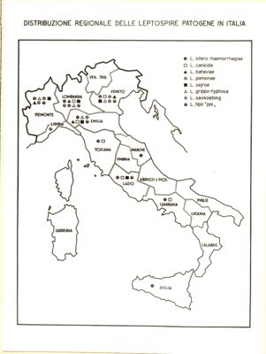 Cartogramma riguardante la distribuzione regionale in Italia delle Leptospire patogene