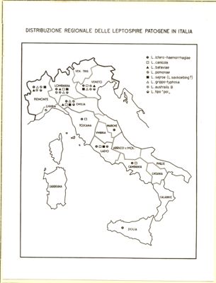 Cartogramma riguardante la distribuzione regionale delle Leptospire patogene in Italia