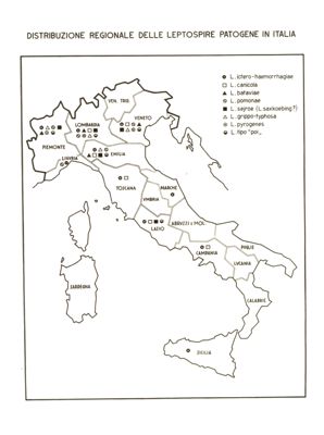 Cartogramma riguardante la distribuzione regionale delle Leptospire patogene in Italia