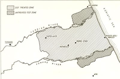 Diagramma riguardante il Bottone d'Oriente nella zona degli Abruzzi