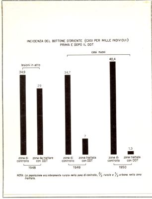 Diagramma riguardante l'incidenza del Bottone d'Oriente (casi per mille individui) prima e dopo il D.D.T.