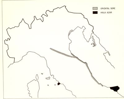 Cartogramma riguardante la distribuzione del Bottone d'Oriente e del Kala Azar nell'Italia Centro Settentrionale