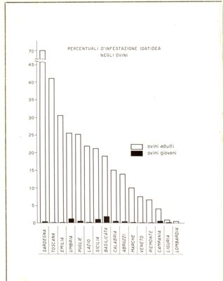 Percentuale d'infestazione idatidea negli ovini