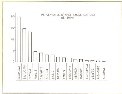 Percentuale d'infestazione idatidea nei suini