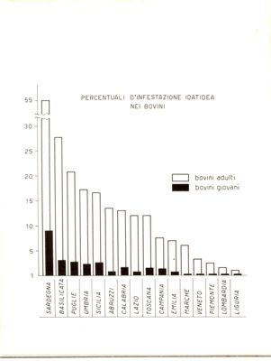 Percentuali d'infestazione idatidea nei bovini