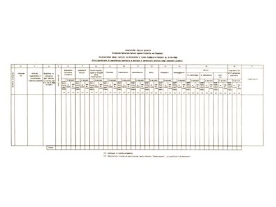 Riproduzioni di tabelle riguardanti ordinamento in ambienti riguardanti l'igiene pubblica e gli ospedali, 31/12/1966 commissionate dal Ministero della Sanità