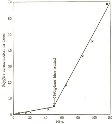 Esperimenti di micro-respirazione - l'effetto del bleu di metilene sul consumo di ossigeno di eritrociti umani