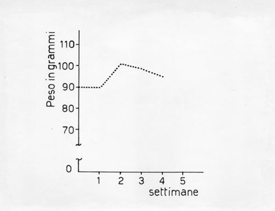 Grafico riguardante l'azione degli ormoni STH e testosterone su tessuto osseo - cartilagineo