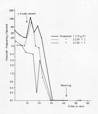 Grafico da studio sul veleno del ragno Latrodectus sp. (malmignatta) - Asse ordinate: impulso frequenza/secondo; Asse ascisse: tempo in minuti