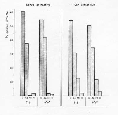 Due grafici di uno studio sull'attrattività di una sostanza, verso mosche, 
 senza attrattivo e con attrattivo. Asse delle ordinate: % mosche attratte; asse delle ascisse: livello di C, Ap, Mt, H per soggetto maschile e femminile