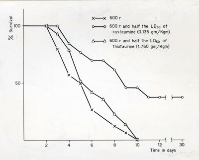 Cisteamina e tio-taurina. Esperienze come radioprotettori nel topo
