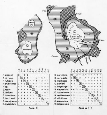 Schema che riporta osservazioni sulla presenza contemporanea di più specie di Ditteri Simulidi in Calabria