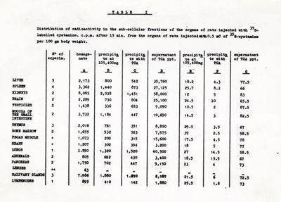 Distribuzione della Cistamina S. 35 negli organi del ratto e degradazione enzimatica della Cistamina