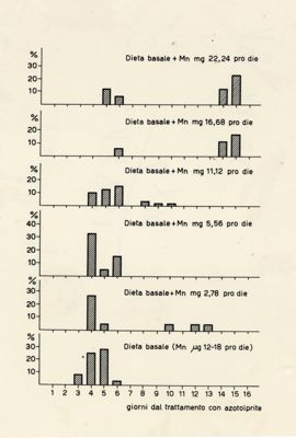 Grafico riguardante la distribuzione percentuale della mortalità di ratti trattati con azotoiprite in corso di trattamento dietetico con cloruro di manganese