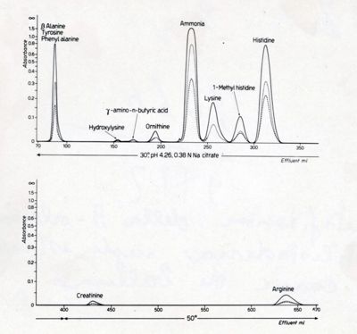 Identificazione della B. alanin 3 metilistidina negli estratti di carne di balena