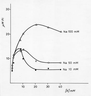 Grafico sui livelli di sodio: Na 10, Na 50 e Na 100 mM. Asse delle ordinate: gamma M Pi, asse delle ascisse [K] mM