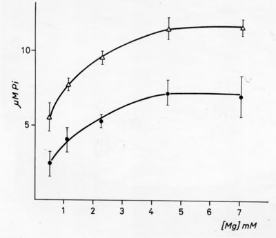 Grafico: Asse delle ordinate: gamma M Pi, asse delle ascisse [Mg] mM