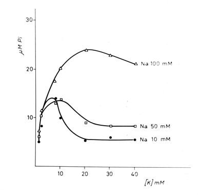 Grafico sui livelli di sodio: Na 10, Na 50 e Na 100 mM. Asse delle ordinate: gamma M Pi, asse delle ascisse [K] mM