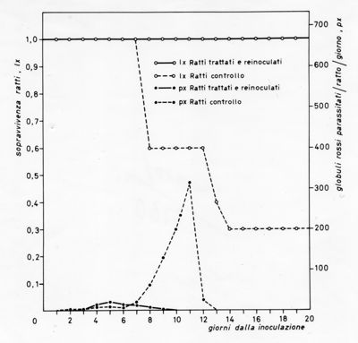 Grafico relativo ad uno studio sulla sopravvivenza in ratti inoculati con parassiti e ratti irradiati rispetto ad un controllo negativo. Asse delle ordinate: sopravvivenza ratti; asse delle ascisse: giorni dalla inoculazione