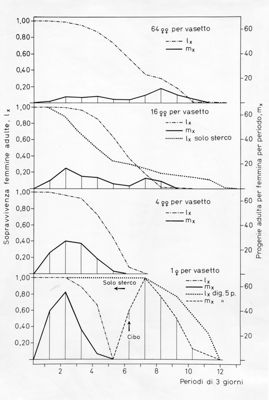 Grafico relativo ad uno studio probabilmente su colonie di  acari allevate su diversi substrati tra cui lo sterco. Asse delle ordinate: sopravvivenza femmine adulte; asse delle ascisse: periodo di 3 giorni