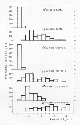 Grafico relativo ad uno studio probabilmente su colonie di  acari allevate su sterco e carta. Asse delle ordinate: mortalità percentuales; asse delle ascisse: periodo di 2 giorni