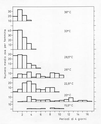 Grafico relativo ad uno studio probabilmente su colonie di  acari. Asse delle ordinate: numero medio ova per femmina; asse delle ascisse: periodo di 4 giorni