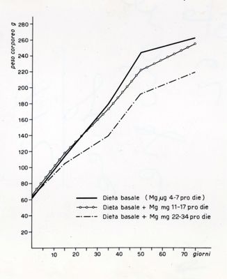 Grafici e tabelle